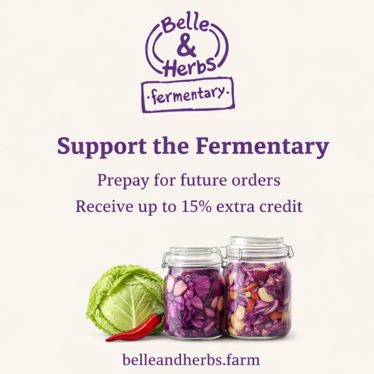 Belle & Herbs prepay and subscription scheme for regular fermented food deliveries